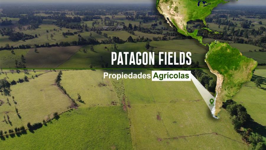Foto Agricola en Venta en Osorno, Osorno - 10 hectareas - $ 100 - AGV88581 - BienesOnLine