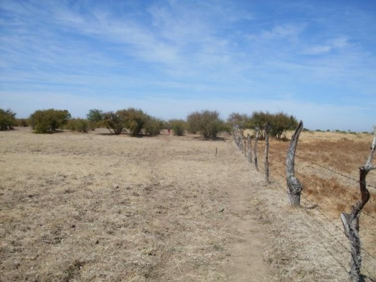 Foto Agricola en Venta en Sector Millauqun. 18Kms al noroeste., San Carlos, uble - $ 7.500.000 - AGV4799 - BienesOnLine