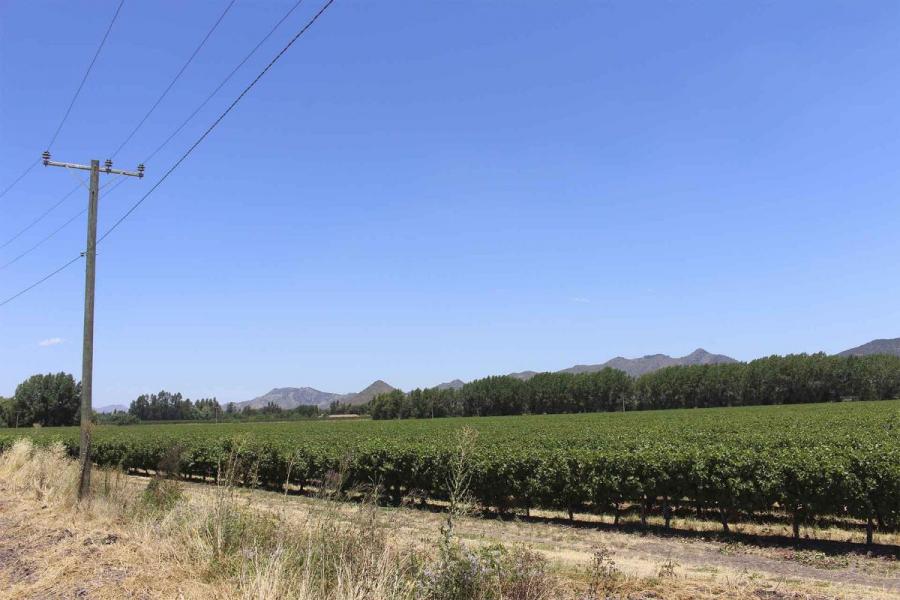 Foto Parcela en Venta en Santa Cruz, Colchagua - UFs 1.300 - PAV87823 - BienesOnLine