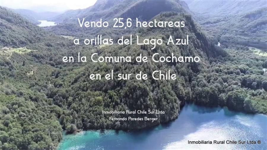 Foto Terreno en Venta en Lago Azul - Cochamo Puelo, Cocham, Llanquihue - 25 hectareas - U$D 500.000 - TEV1064 - BienesOnLine