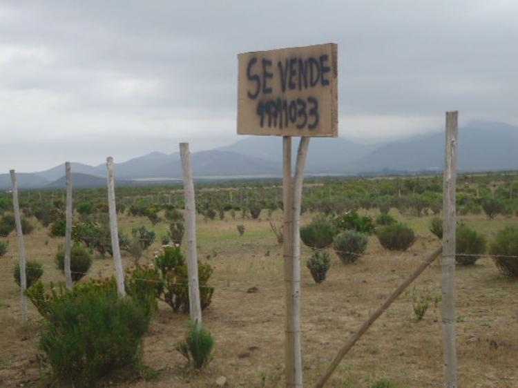 Foto Parcela en Venta en Rural, Coquimbo, Elqui - $ 18.500.000 - PAV31284 - BienesOnLine