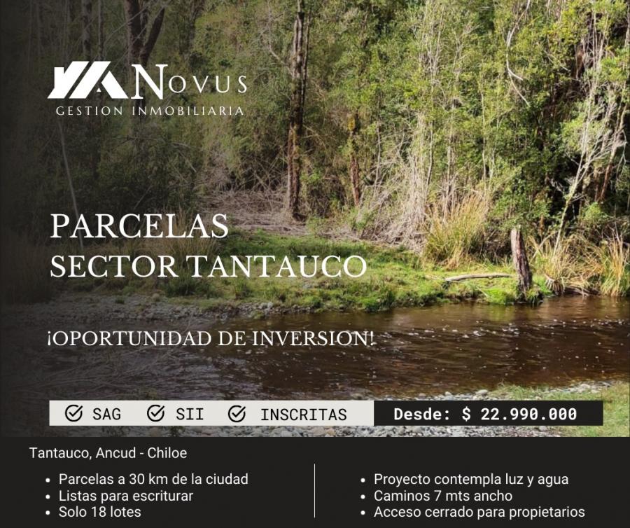 Foto Parcela en Venta en Rural, Ancud, Chiloe - $ 22.990.000 - PAV141875 - BienesOnLine