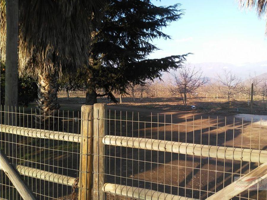 Foto Parcela en Venta en Nogales, Quillota - $ 32.000.000 - PAV105412 - BienesOnLine