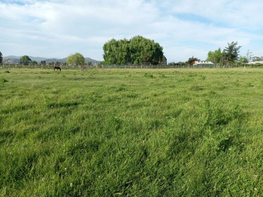 Foto Terreno en Venta en Teno, Curic - $ 45.000.000 - TEV134801 - BienesOnLine