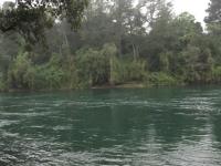 Terreno en Venta en Lacustre Villarrica