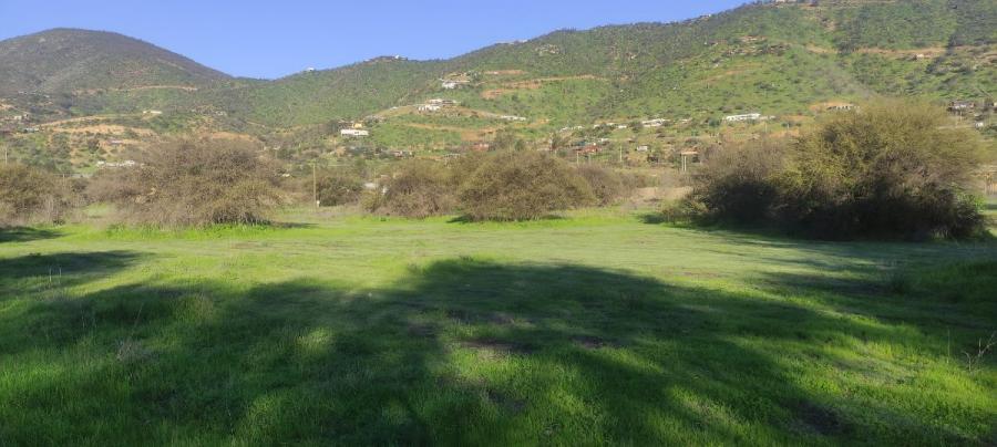 Foto Parcela en Venta en Sector Miraflores, Curacav, Melipilla - 1 hectareas - $ 148.000.000 - PAV147428 - BienesOnLine