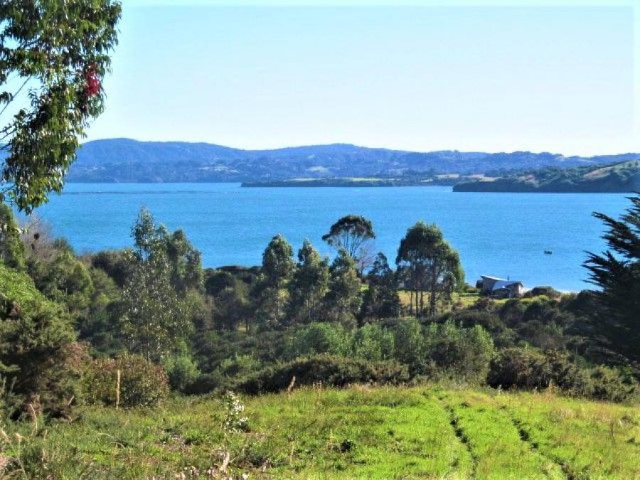 Foto Parcela en Venta en LECHAGUA, Ancud, Chiloe - $ 120.000.000 - PAV131085 - BienesOnLine