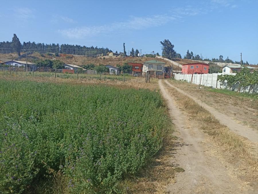 Home in Metric Way