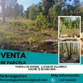 Parcela en Venta en Rural Villarrica