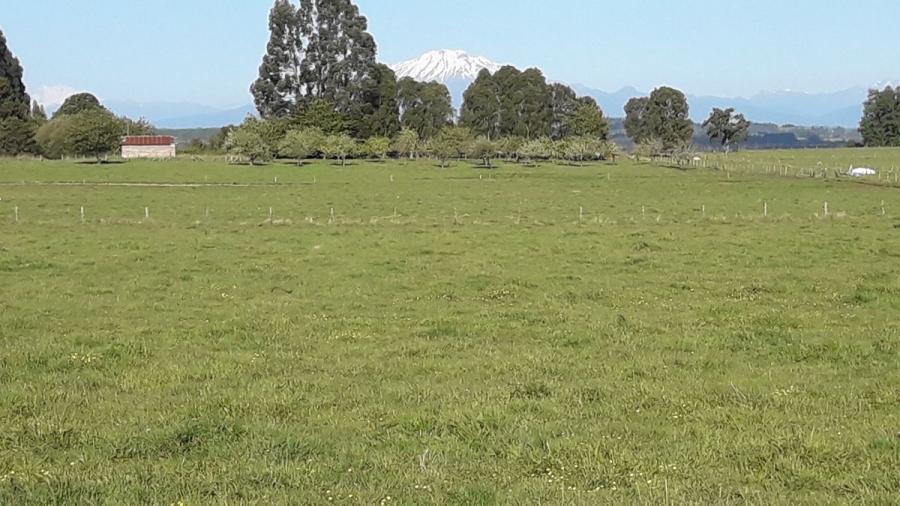 Foto Parcela en Venta en Rural s/n, Nueva Braunau, Llanquihue - $ 95.000.000 - PAV125503 - BienesOnLine