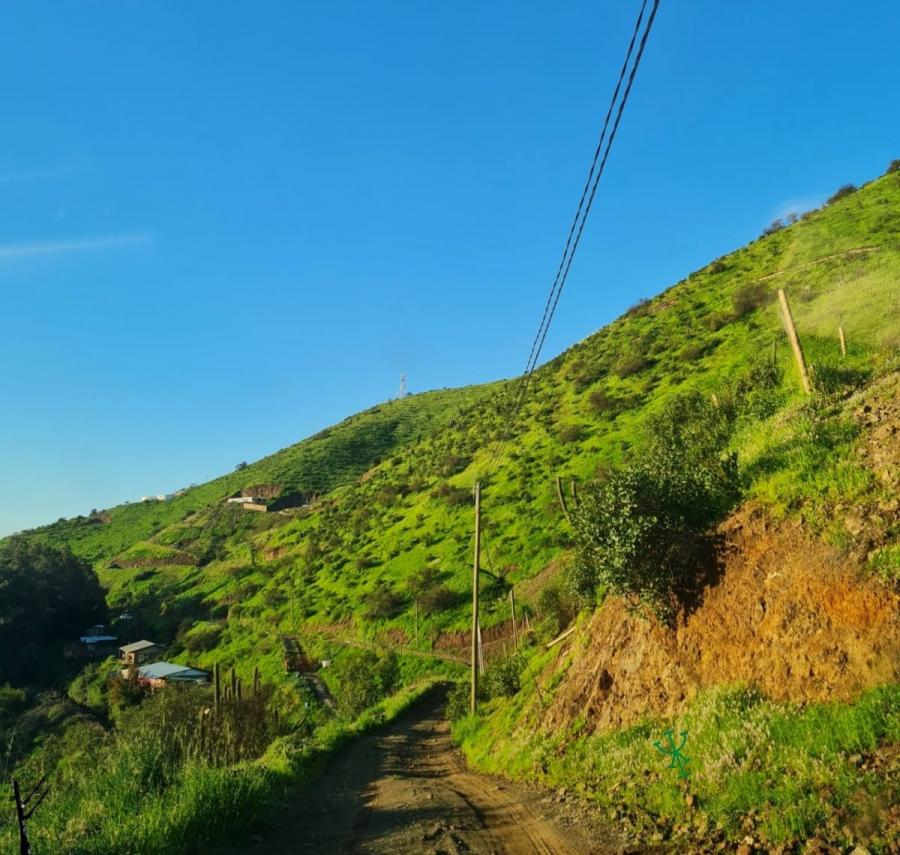 Home in Metric Way