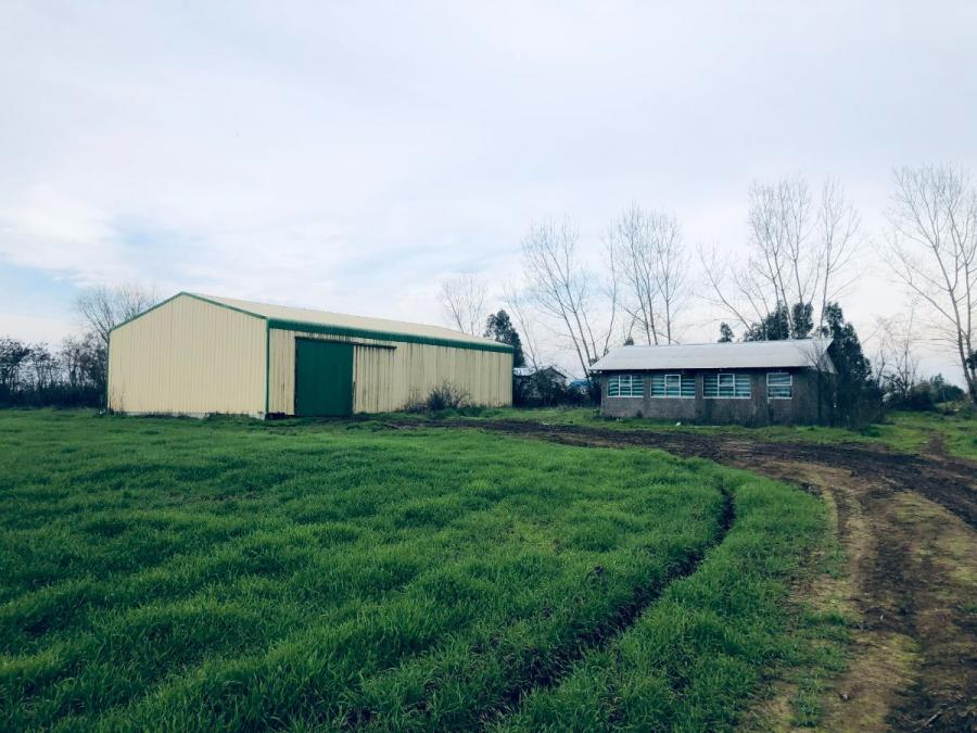 Foto Agricola en Venta en Talca, Talca - $ 600.000.000 - AGV148164 - BienesOnLine