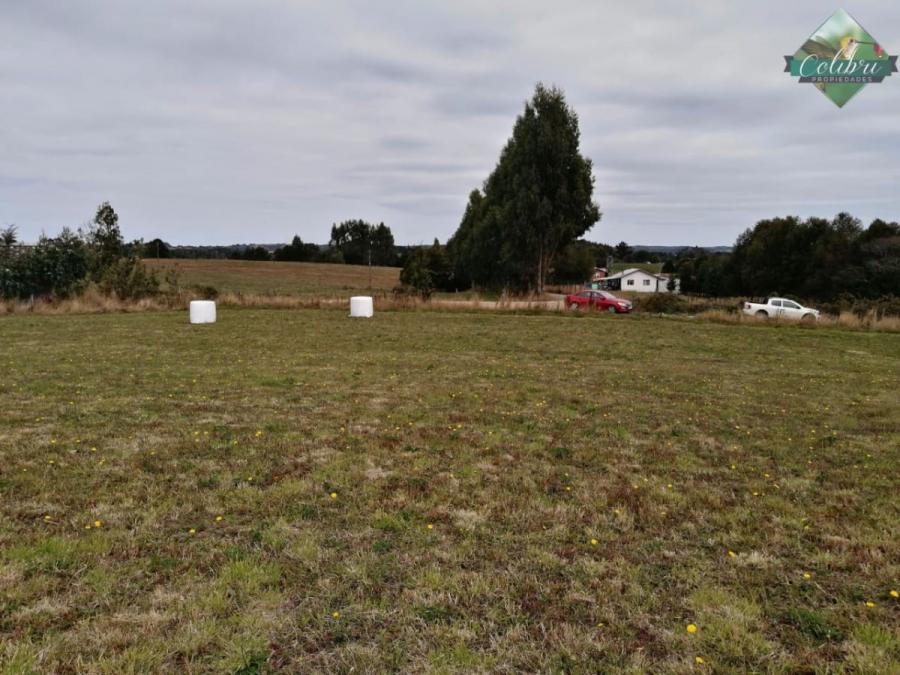 Foto Parcela en Venta en los muermos, Los Muermos, Llanquihue - $ 13.000.000 - PAV141786 - BienesOnLine