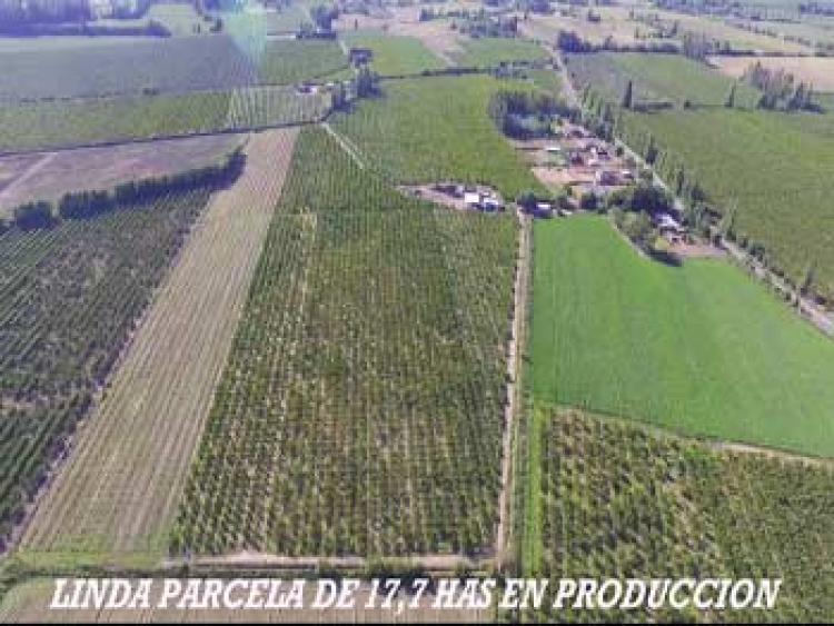 Foto Agricola en Venta en Rengo, Cachapoal - $ 27.000.000 - AGV71710 - BienesOnLine