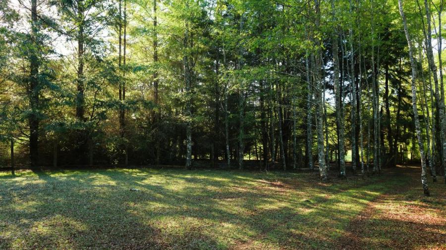 Foto Parcela en Venta en Pucón, Cautin - 2 hectareas - $ 400.000.000 - PAV134571 - BienesOnLine