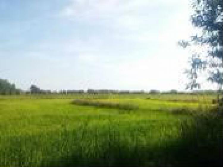 Home in Metric Way