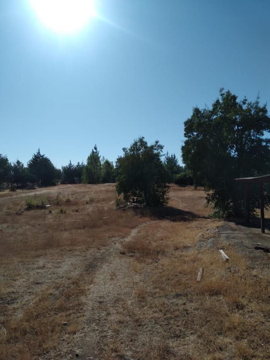 Foto Parcela en Venta en Sector El Galponcillo Ñipas Ránquil. Región de Ñub, Ñuble - 1 hectareas - $ 15.000.000 - PAV149584 - BienesOnLine