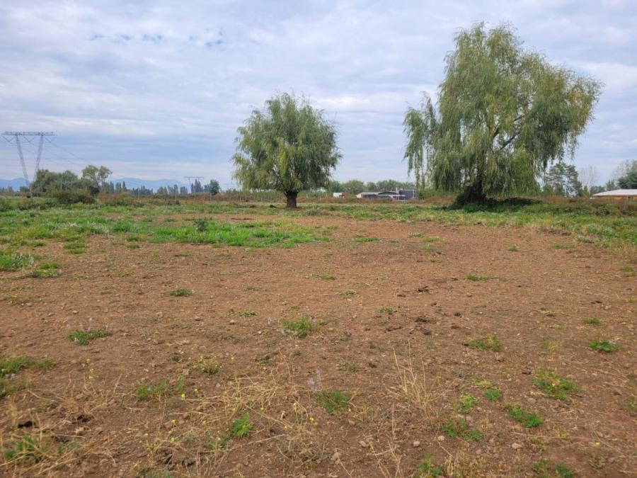 Foto Parcela en Venta en Teniente Cruz, Teno, Curicó - $ 50.000.000 - PAV149391 - BienesOnLine