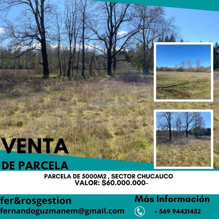 Foto Parcela en Venta en Rural, Villarrica, Cautin - $ 60.000.000 - PAV146716 - BienesOnLine