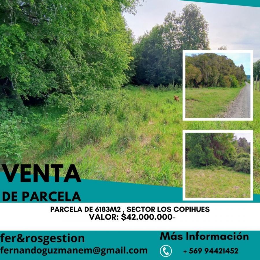Foto Parcela en Venta en Rural, Villarrica, Cautin - $ 42.000.000 - PAV146714 - BienesOnLine