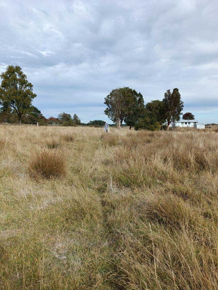 Foto Parcela en Venta en Rural, Fresia, Llanquihue - $ 120.000.000 - PAV143783 - BienesOnLine