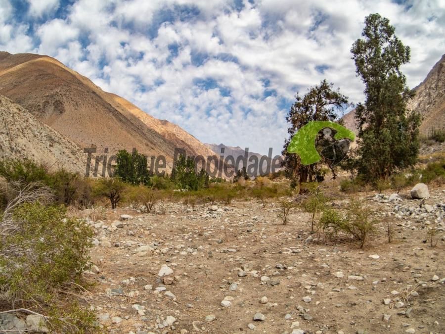 Foto Parcela en Venta en Valle del Elqui, Cochiguaz, Elqui - $ 60.000.000 - PAV147199 - BienesOnLine