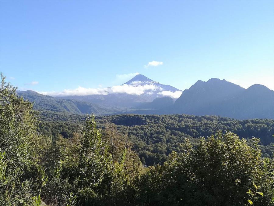 Foto Sitio en Venta en Los Nevados, Pucn, Cautin - $ 54.000.000 - V142234 - BienesOnLine