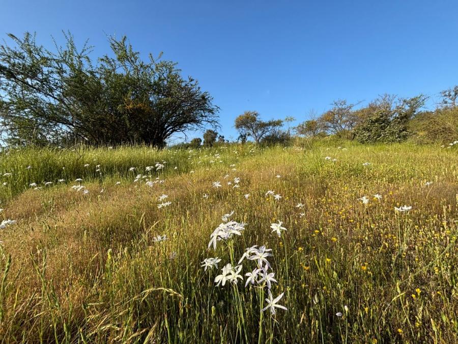 Foto Parcela en Venta en LIMACHE, Olmué, Valparaiso - $ 85.000.000 - PAV157496 - BienesOnLine