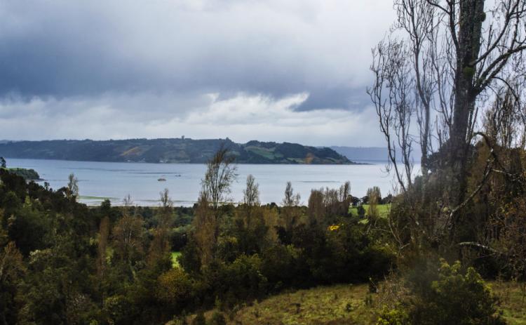 Foto Parcela en Venta en Castro, Chiloe - 2 hectareas - $ 86.200.000 - PAV45830 - BienesOnLine
