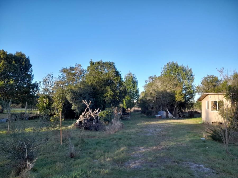 Foto Parcela en Venta en rural, Puerto Varas, Llanquihue - $ 60.000.000 - PAV146761 - BienesOnLine
