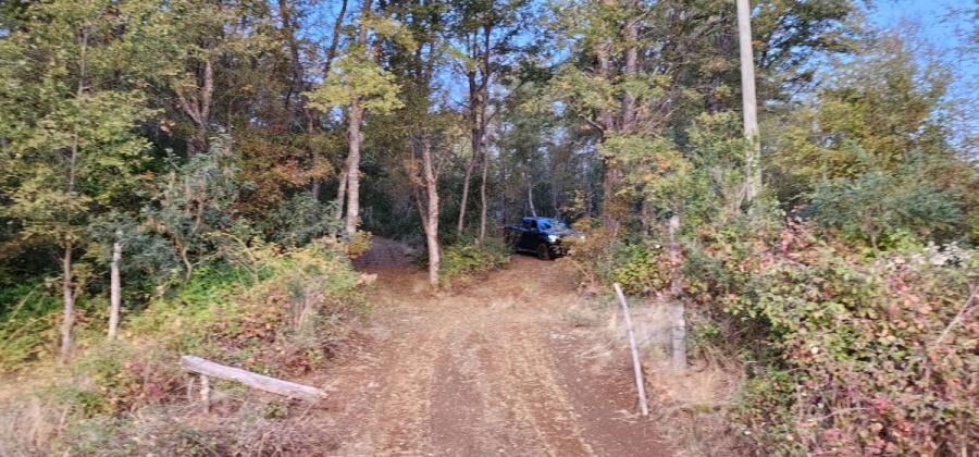Foto Terreno en Venta en San Fabián, Ñuble - $ 25.000.000 - TEV143437 - BienesOnLine
