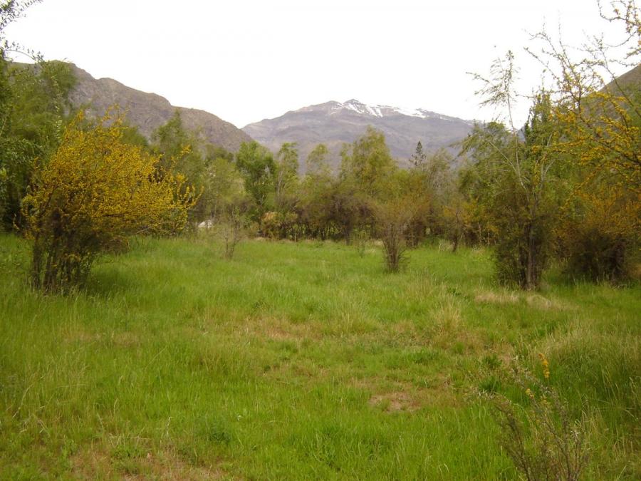 Foto Parcela en Venta en Los Espinos, San Esteban, Los Andes - UFs 2.189 - PAV137074 - BienesOnLine
