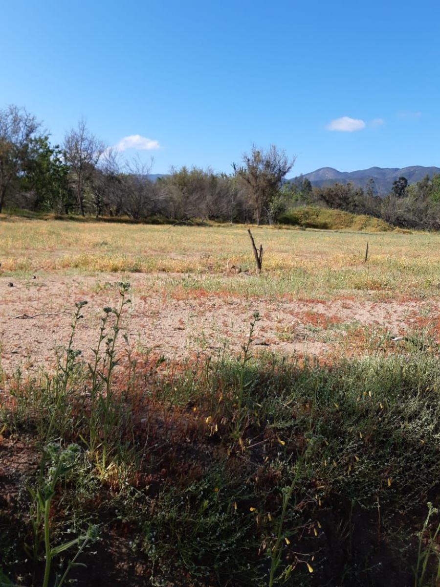 Foto Terreno en Venta en RURAL- RESIDENCIAL, Quilpu, Valparaiso - $ 190.000.000 - TEV123797 - BienesOnLine