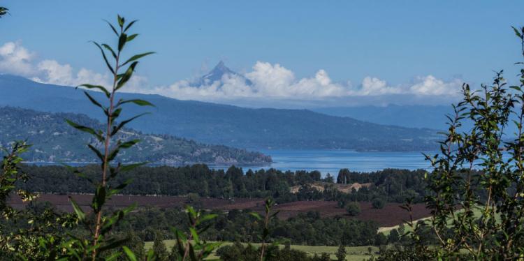 Foto Parcela en Venta en Puyehue, Osorno - 1 hectareas - $ 49.400.000 - PAV45831 - BienesOnLine