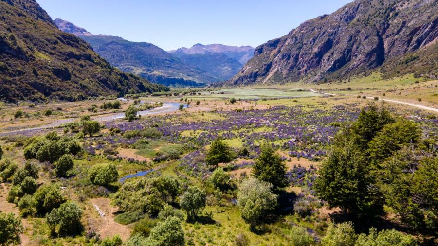 Foto Terreno en Venta en Aisén, Aisen - $ 19.000.000 - TEV127711 - BienesOnLine