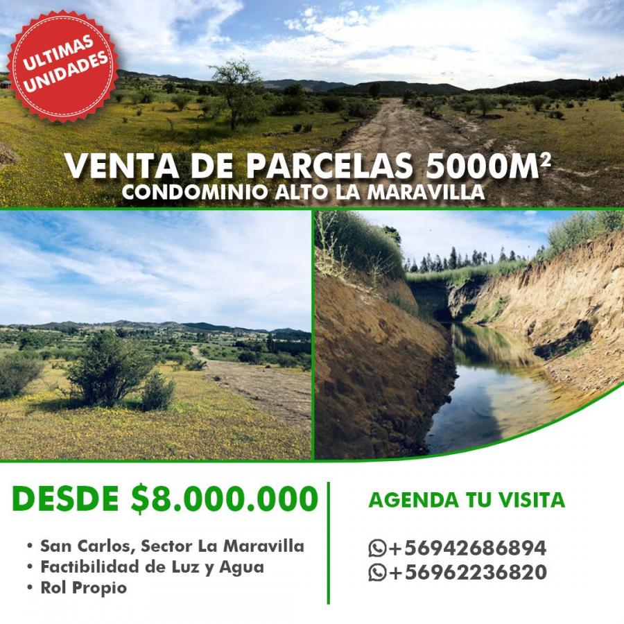 Foto Parcela en Venta en La Maravilla camino torrecillas, San Carlos, uble - $ 8.000.000 - PAV104611 - BienesOnLine