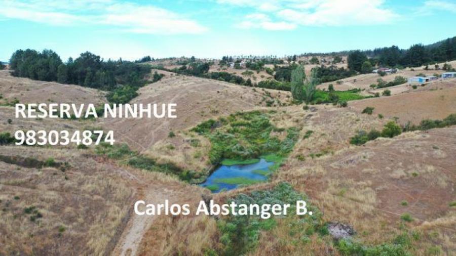 Foto Parcela en Venta en Ninhue, Ninhue, uble - $ 19.990.000 - PAV137711 - BienesOnLine