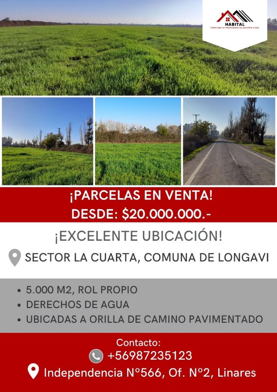 Foto Parcela en Venta en Longav, Linares - $ 20.000.000 - PAV132297 - BienesOnLine