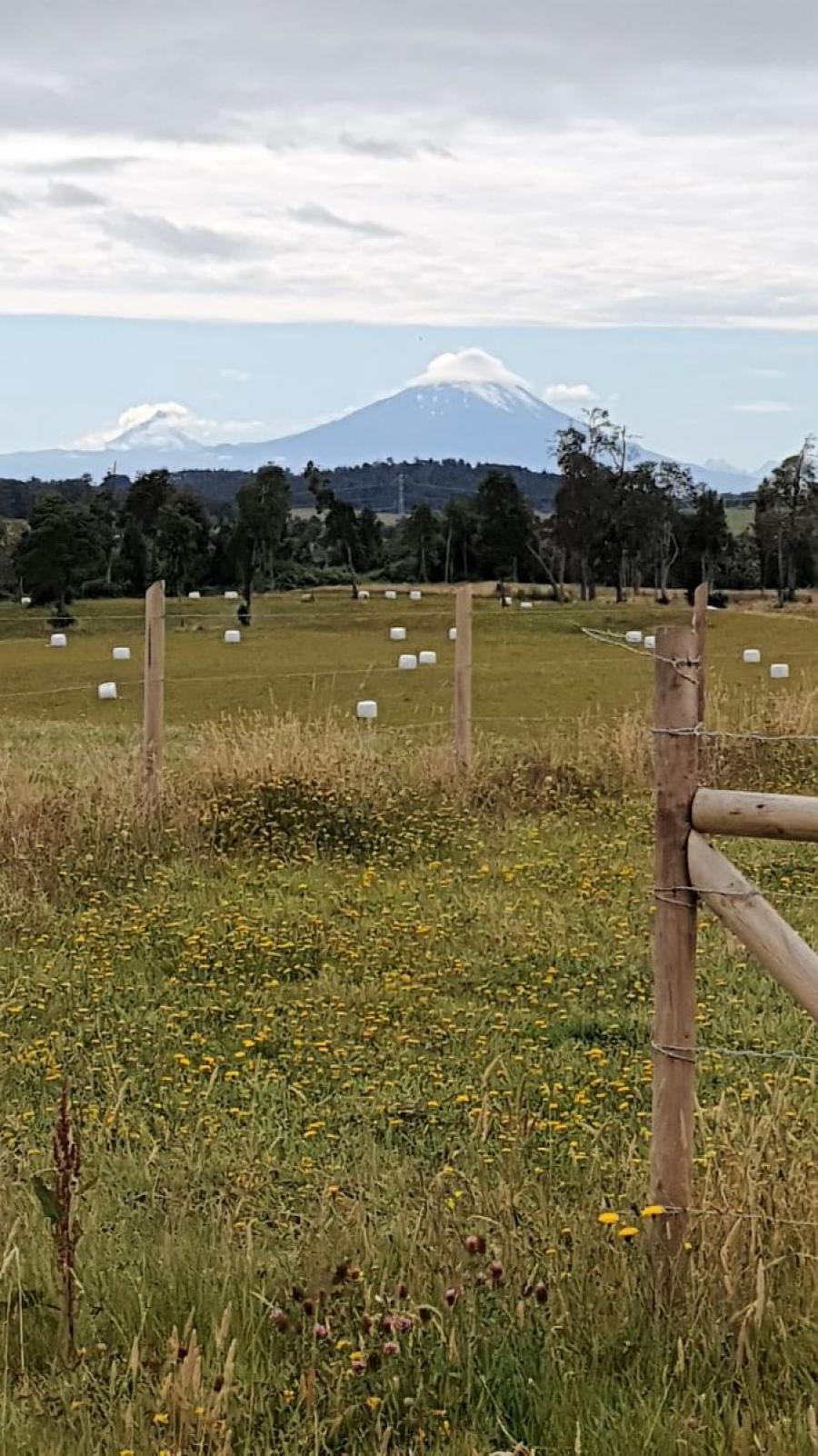 Foto Parcela en Venta en Loncotoro, LLanquihue, Llanquihue - UFs 1.650 - PAV138197 - BienesOnLine