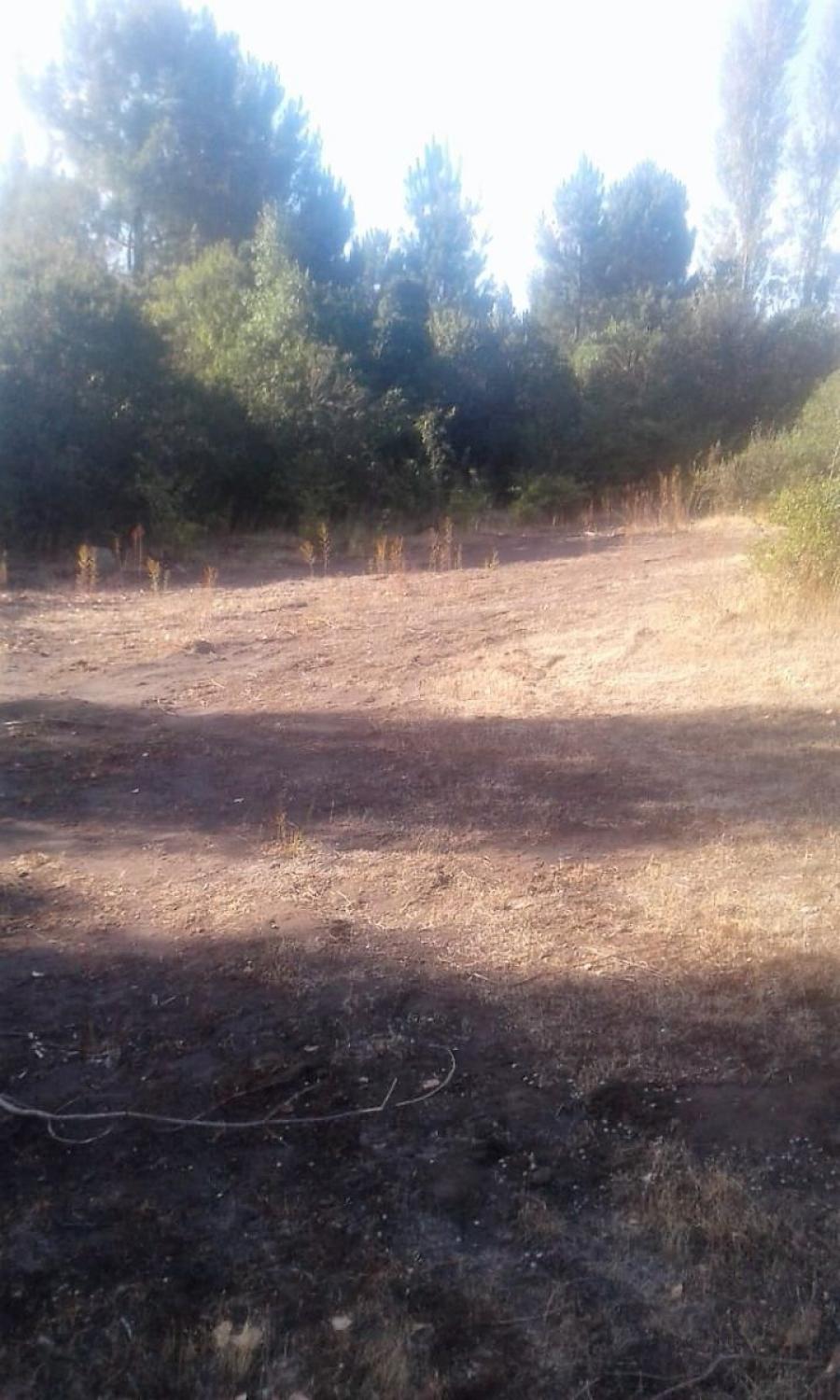 Foto Terreno en Venta en Los Angeles, Biobio - $ 20.000.000 - TEV108786 - BienesOnLine