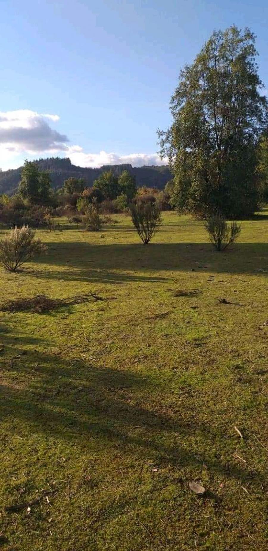Foto Parcela en Venta en Rauco, Curic - 5 hectareas - $ 7.000.000 - PAV98268 - BienesOnLine