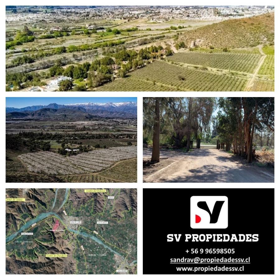 Foto Terreno en Venta en Panquehue, San Felipe de Aconcagua - $ 60.000.000 - TEV143936 - BienesOnLine