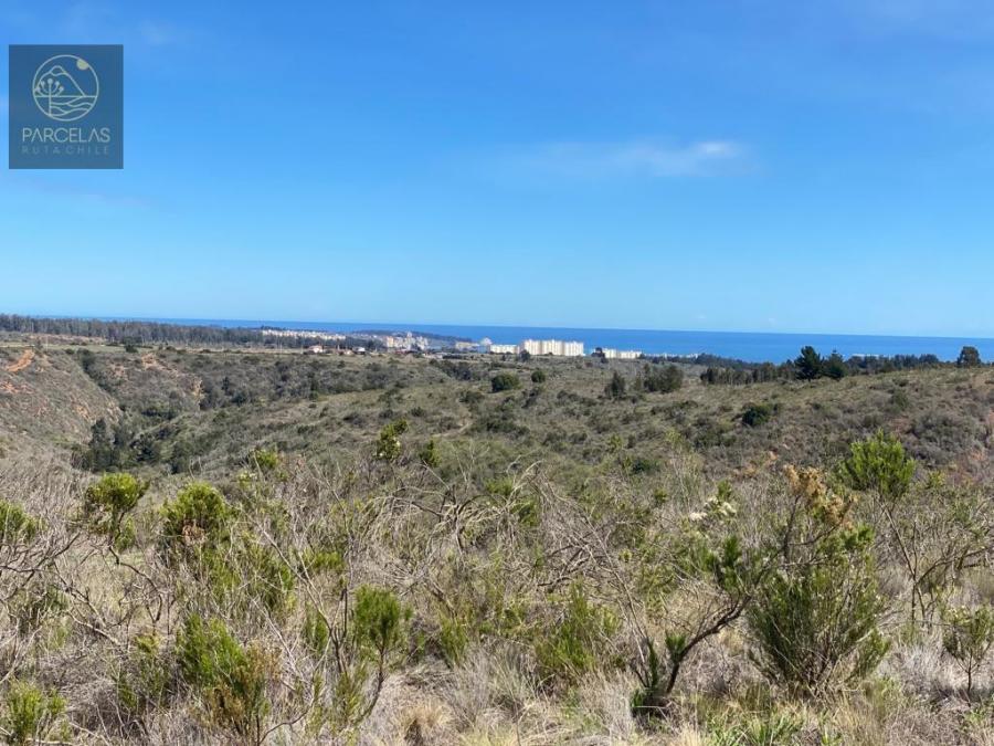 Foto Parcela en Venta en Algarrobo, San Antonio - $ 86.000.000 - PAV129345 - BienesOnLine