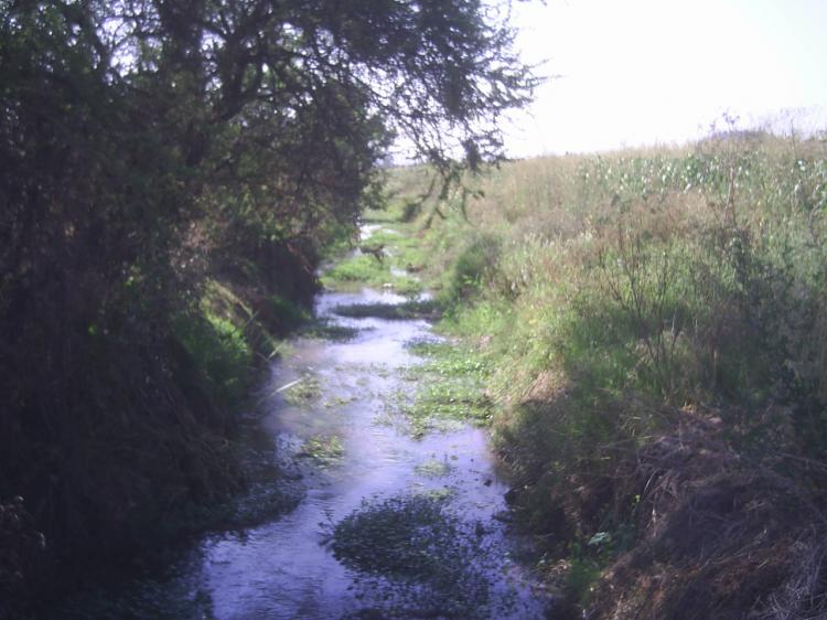 Foto Terreno en Venta en Carmen Bajo, Melipilla, Melipilla - $ 15.000.000 - TEV13729 - BienesOnLine