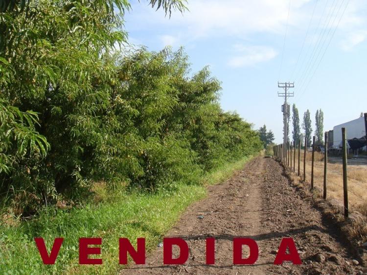 Foto Terreno en Venta en Los Andes, Los Andes - $ 110.000.000 - TEV30450 - BienesOnLine