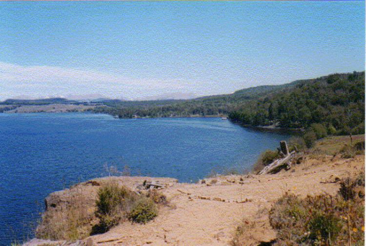 Foto Terreno en Venta en Lago Polux, Coihaique, Coihaique - $ 32.000.000 - TEV9913 - BienesOnLine