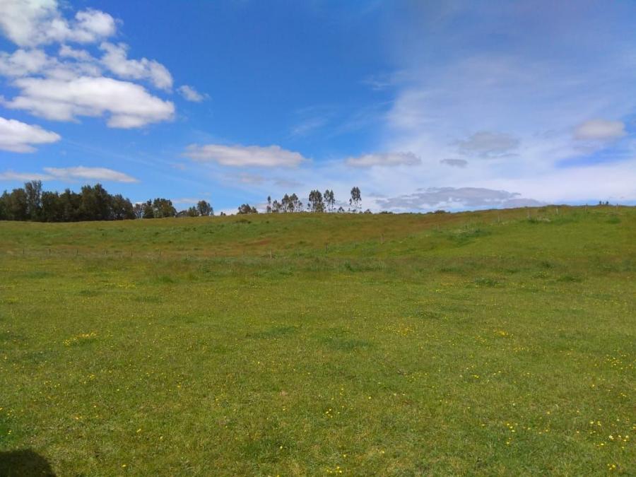 Foto Agricola en Venta en CRUCE LAS QUEMAS, Llanquihue - 90 hectareas - UFs 30.260 - AGV93836 - BienesOnLine