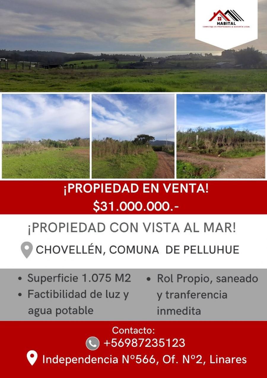 Foto Sitio en Venta en Rural, Chovelln, Cauquenes - $ 31.000.000 - V143366 - BienesOnLine