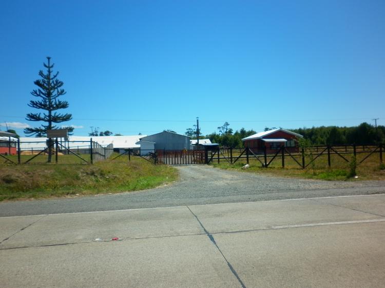 Foto Industrial en Venta en Ancud, Chiloe - $ 795.000.000 - INV84354 - BienesOnLine