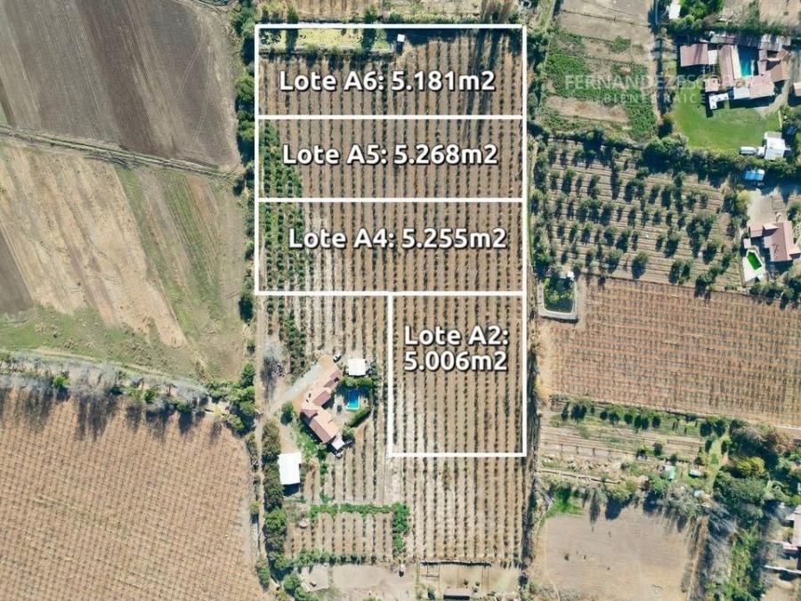 Foto Terreno en Venta en Putaendo, San Felipe de Aconcagua - $ 57.000.000 - TEV144811 - BienesOnLine